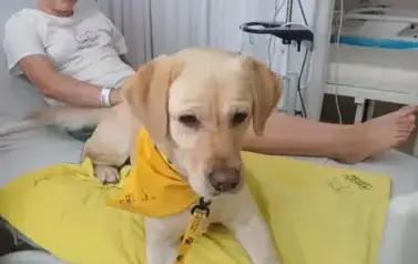 Yc4fcL247xqc8uNn