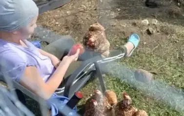 BzzZRCAVwcUexykk