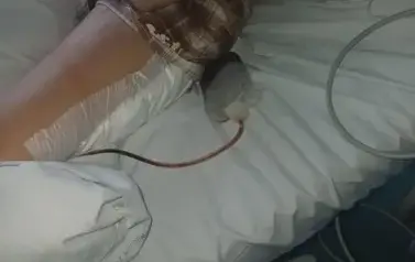 BrxEgZg9B2WihdTN