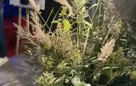 555727277_1269077358349725_8891243446996647031_n