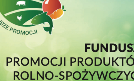 Zdjęcie artykułu z dnia 02-04-2026