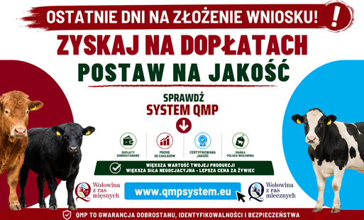 Zdjęcie artykułu z dnia 20-05-2026