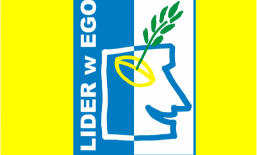 Zdjęcie do Szkolenia dla beneficjent&oacute;w &ndash; LGD &bdquo;Lider w EGO&rdquo;