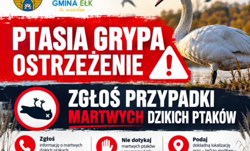Zdjęcie do Zagrożenie ptasiej grypy