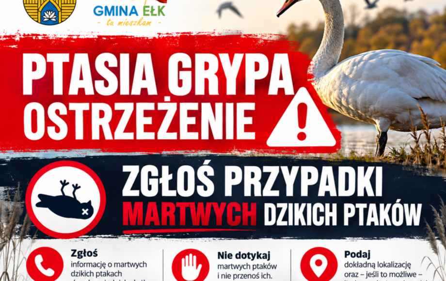 Ostrzeżenie przed ptasią grypą w gminie Ełk